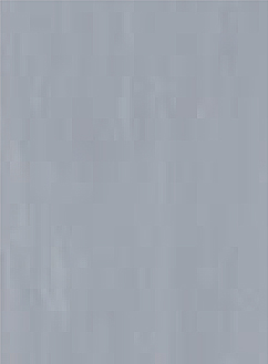 mz1006