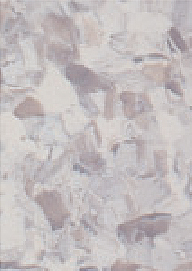 mp038