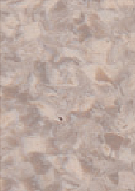 mp646