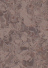 mp647