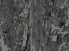 CMZ-8850